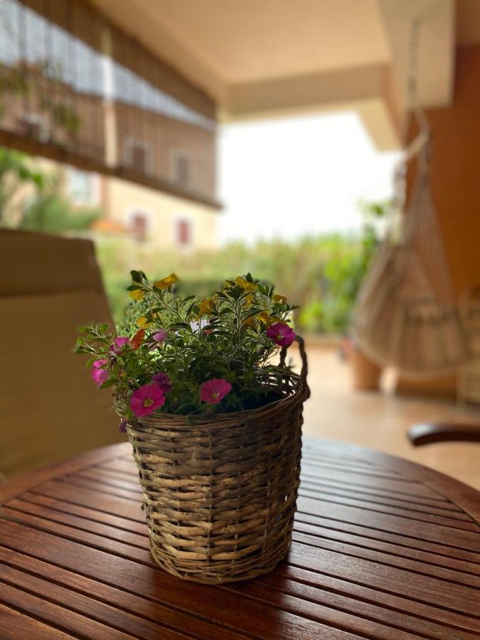 Apartman Rose-2025 Renovated Garden View Porec Esterno foto
